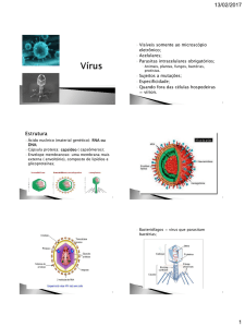 Os vírus