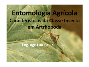 Entomologia Agrícola
