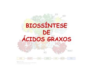 biossíntese de ácidos graxos de ácidos graxos