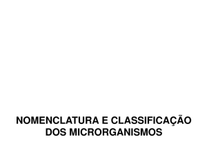 Nomenclatura e Classificação dos Microrganismos NOVO