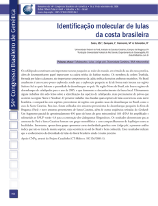 Identificação molecular de lulas da costa brasileira