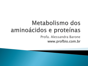 Metabolismo dos aminoácidos e proteínas