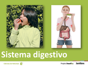 O sistema digestivo dos outros animais