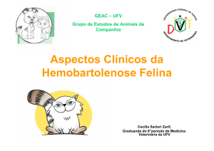 Aspectos Clínicos da Hemobartolenose Felina - GEAC-UFV