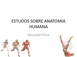 Sistema muscular - IFSC Campus Joinville