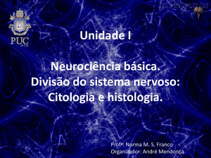 Sistema Nervoso. - Bio-Neuro Psicologia PUC-Rio
