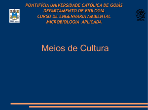 Meios de Cultura - SOL - Professor | PUC Goiás