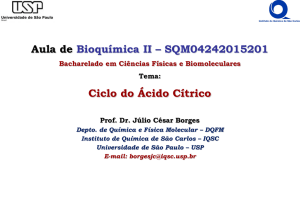 Aula de Bioquímica II – SQM04242015201 Ciclo do Ácido