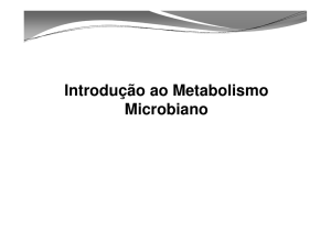 Metabolismo Microbiano - 1PERIODO [Modo de Compatibilidade]