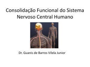 Consolidação Funcional do Sistema Nervoso Central