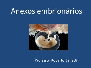 Anexos embrionários