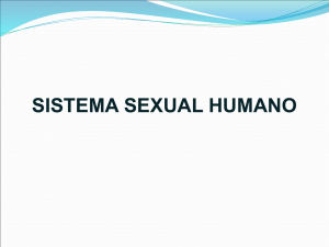 SISTEMA SEXUAL HUMANO