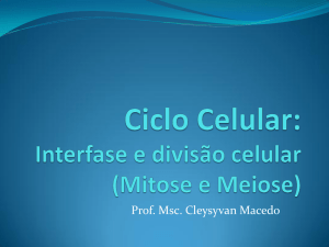 Professor Cleysyvan