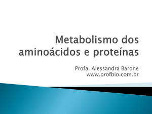 Metabolismo dos aminoácidos e proteínas