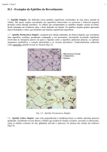 Tecido epitelial (continuação) - Laboratório de Biologia