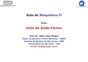 Aula de Bioquímica II Ciclo do Ácido Cítrico