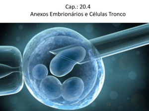 Cap.: 20.4 Anexos Embrionários e Células Tronco