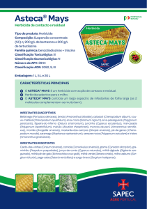 Asteca® Mays