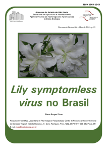 Lily symptomless virus no Brasil - Instituto Biológico