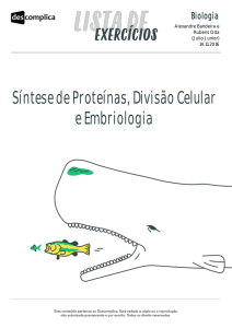 Síntese de Proteínas, Divisão Celular e Embriologia
