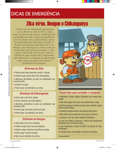 Zika vírus, Dengue e Chikungunya