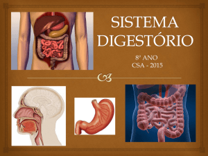 sistema digestivo - Colégio Santo Agostinho BH