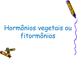 Hormônios vegetais ou fitormônios