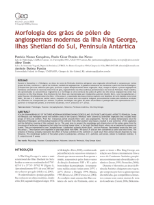 Morfologia dos grãos de pólen de angiospermas modernas da Ilha