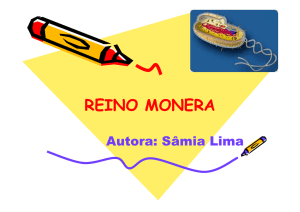 REINO MONERA