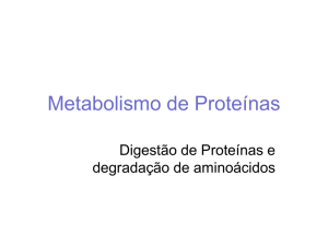 Metabolismo de Proteínas