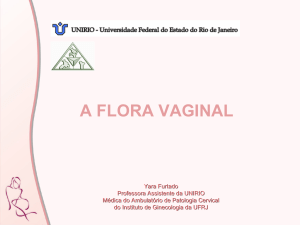 A flora vaginal – Yara Furtado