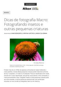 Dicas de fotografias macro Nikon: Fotografando insetos e pequenas