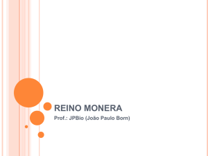 Biologia II, REINO MONERA.