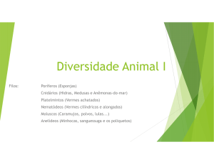 slides Diversidade Animal I