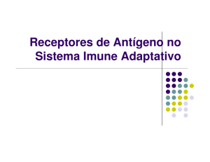 Receptores de Antígeno no Sistema Imune Adaptativo