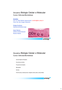 Disciplina: Biologia Celular e Molecular Disciplina: Biologia Celular