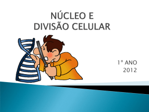 Cap. 12: Núcleo e Divisão Celular