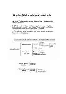 Noções de Neuroanatomia - Curso de Fisiologia