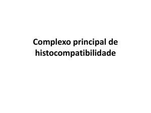 Complexo principal de histocompatibilidade