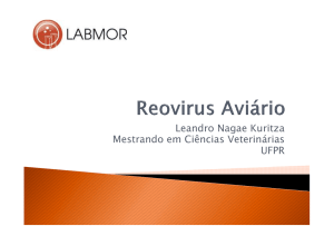 Reovirus Aviário - LABMOR
