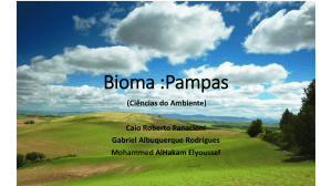 Bioma :Pampas
