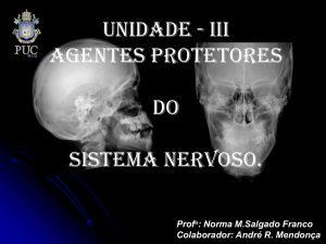 Apresentação do PowerPoint - Bio-Neuro Psicologia PUC-Rio