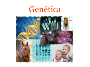 Genética - MeAprove