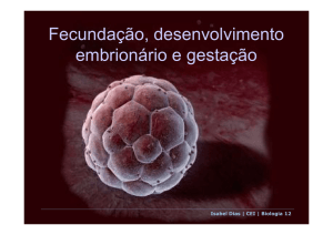 Fecundação, desenvolvimento embrionário e gestação