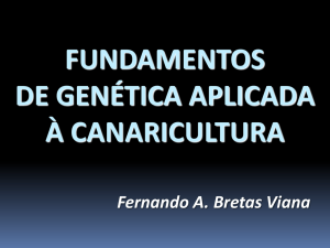 fundamentos de genética aplicada à canaricultura