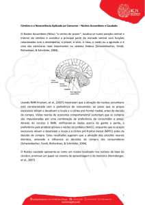 Cérebro e a Neurociência Aplicada ao Consumo – Núcleo