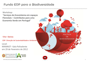Workshop: “Serviços do Ecossistema em espaços Florestais