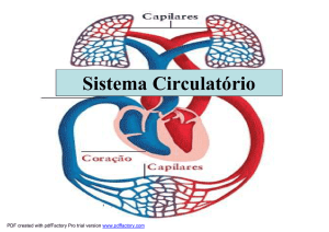 Sistema Circulatório - Colégio Alexander Fleming