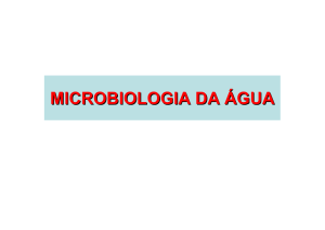 microbiologia da água