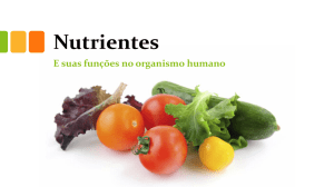 Nutrientes - Salesiano Dom Bosco